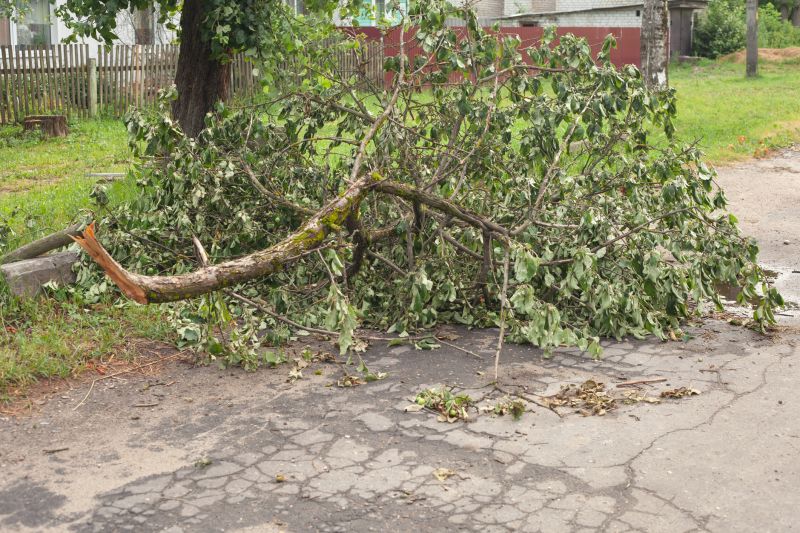 Fallen Tree Blocking Path